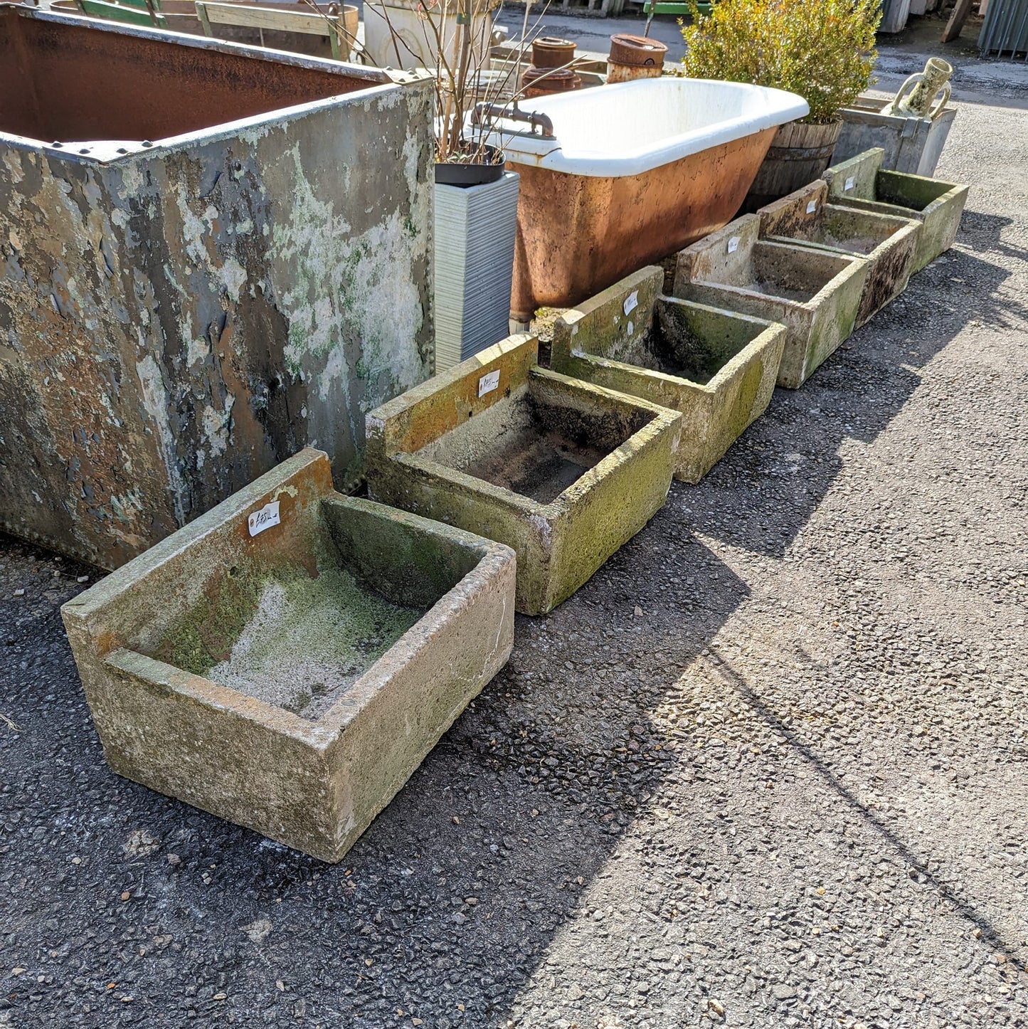 Square Concrete Planters