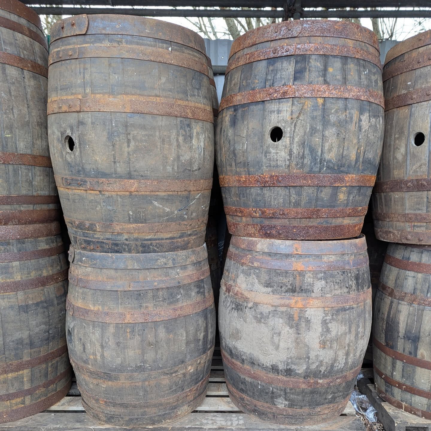Oak Barrels