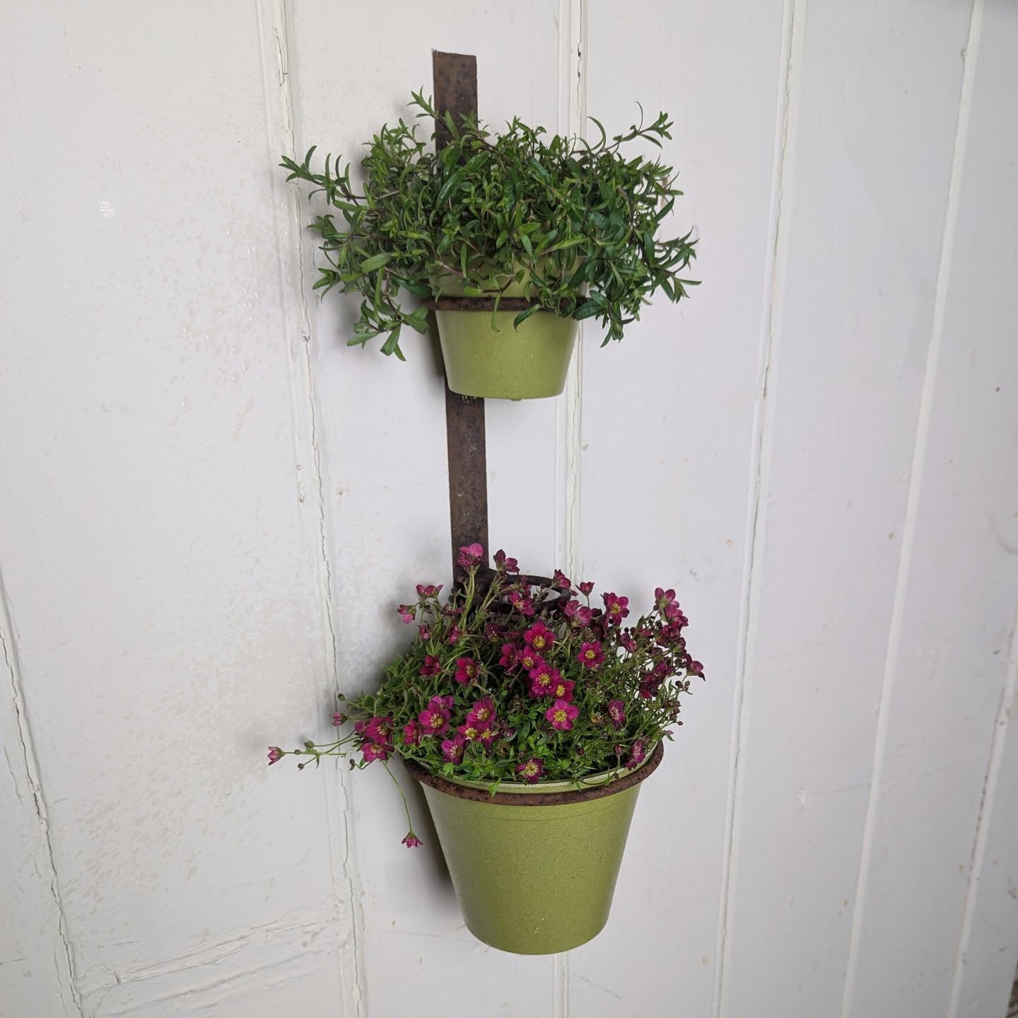 Champagne Planters