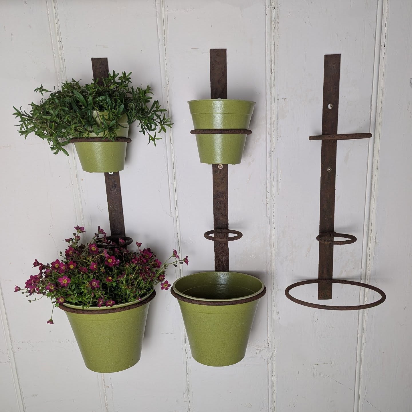 Champagne Planters