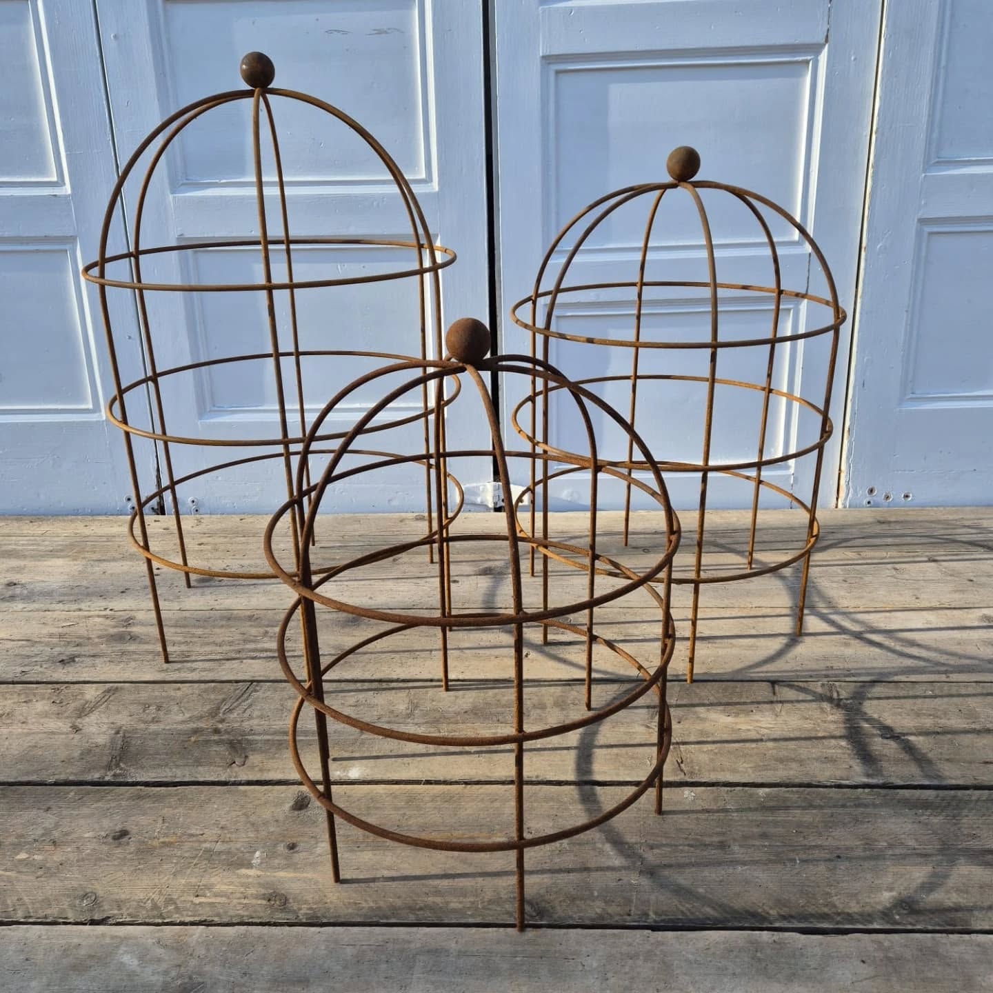 Rusty Plant Supports
