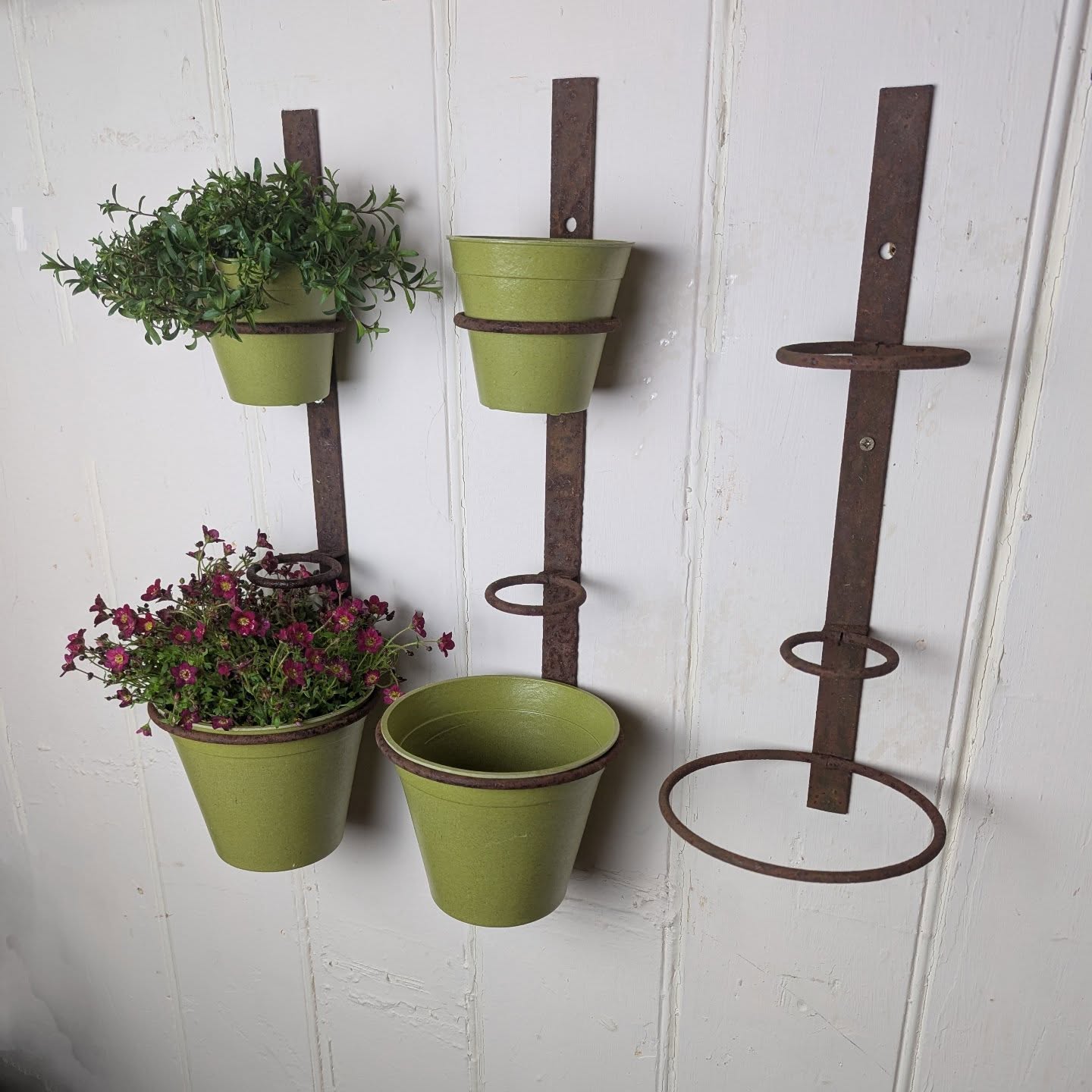 Champagne Planters