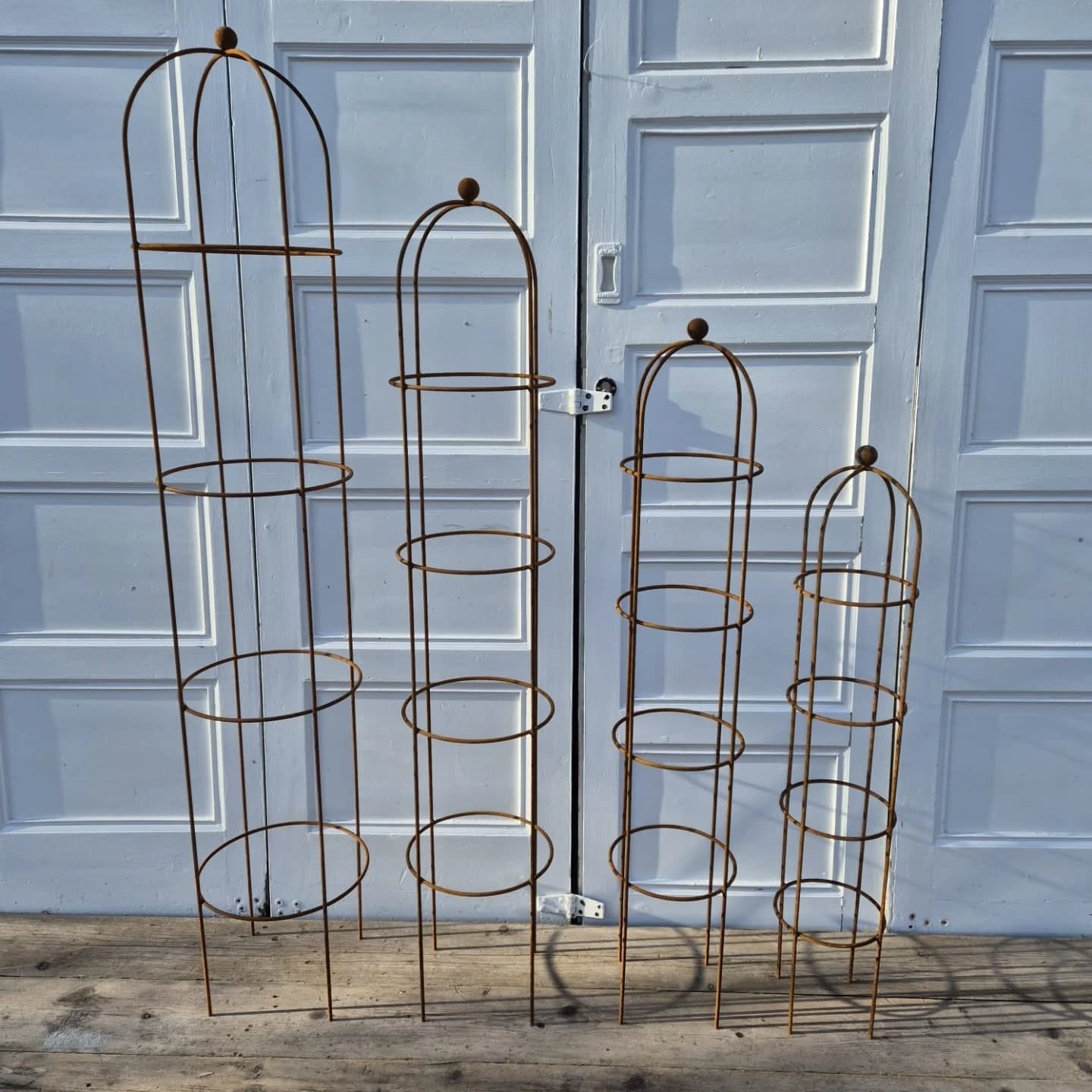 Rusty Plant Supports