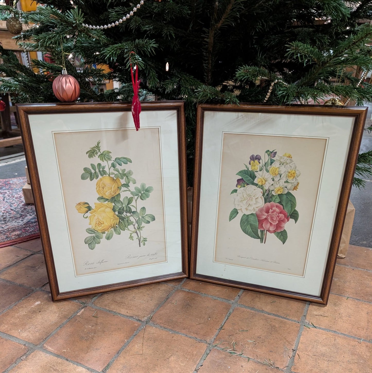 Pair of Botanical Prints