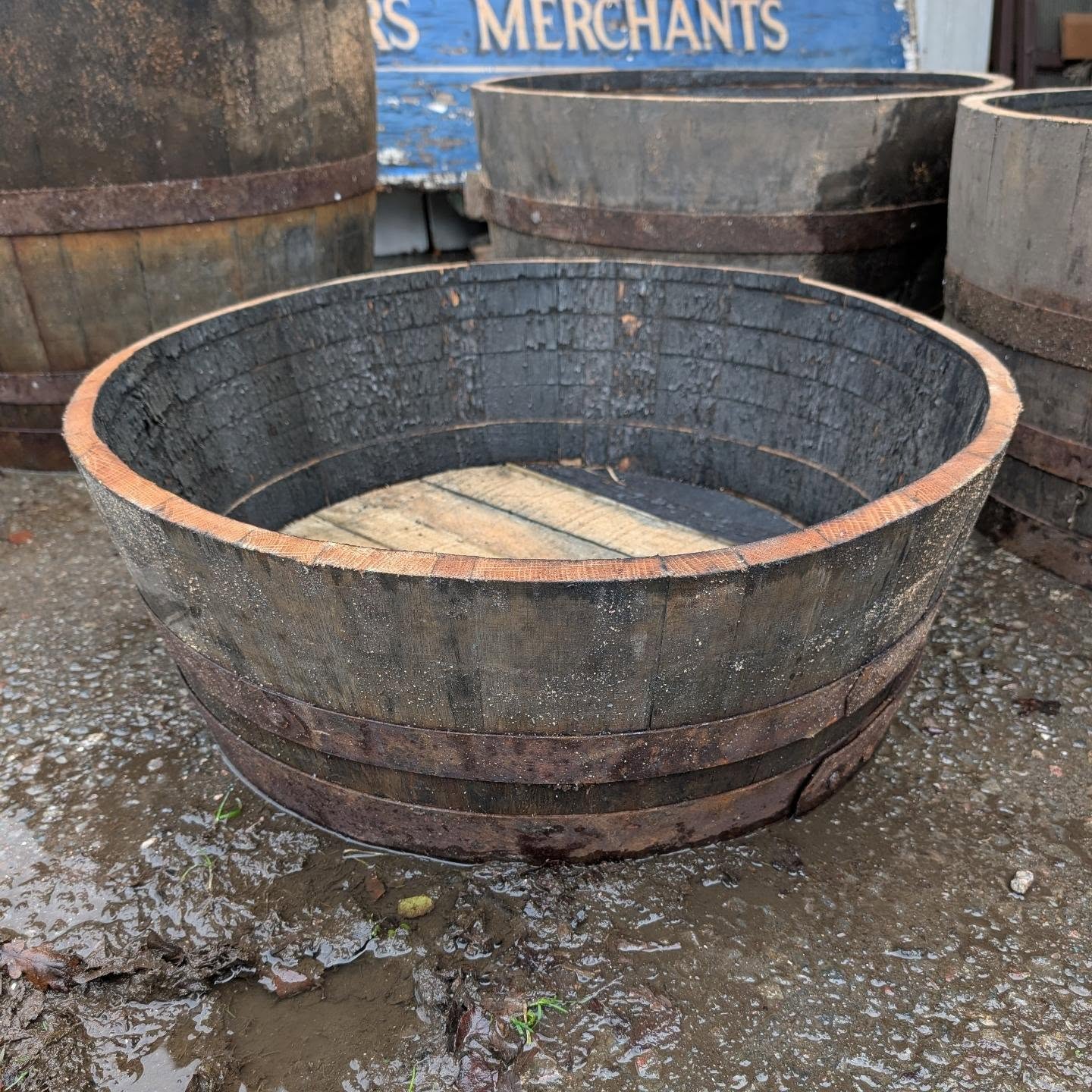 Barrel Planters