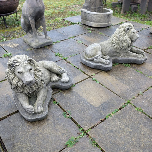 Pair of Lions