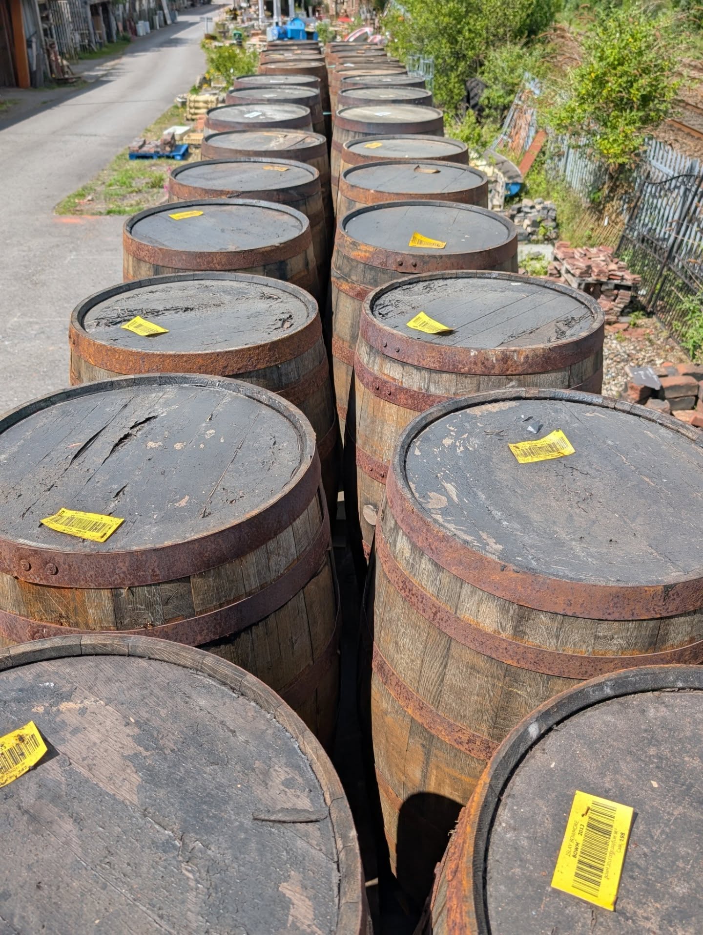 Whisky Barrels