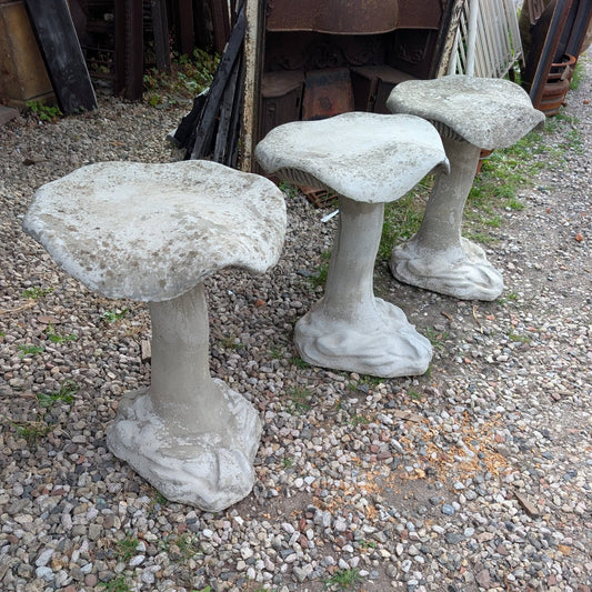 Concrete Mushrooms